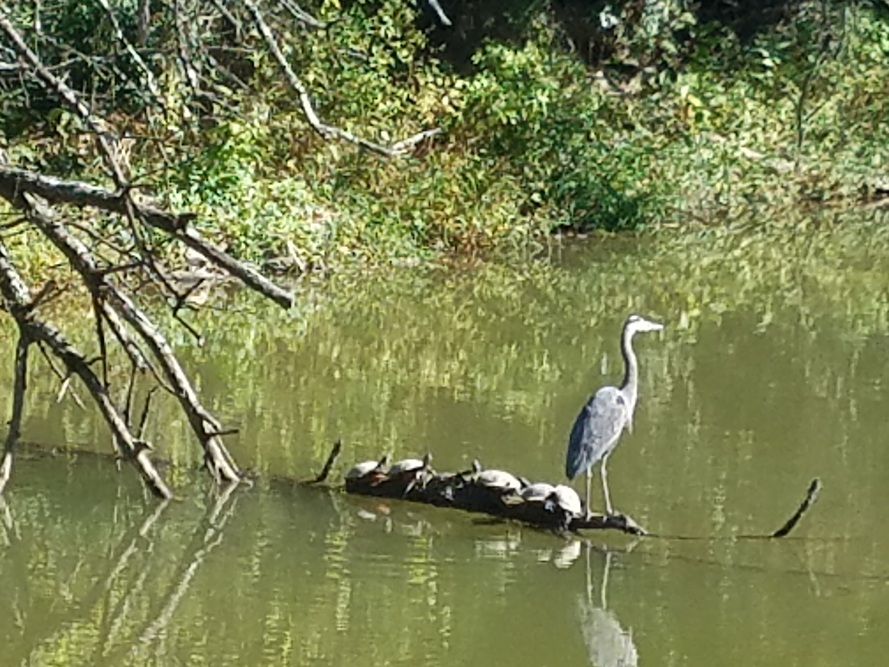 Travel Takeaways: Mental Musings from a Long Bike Tour