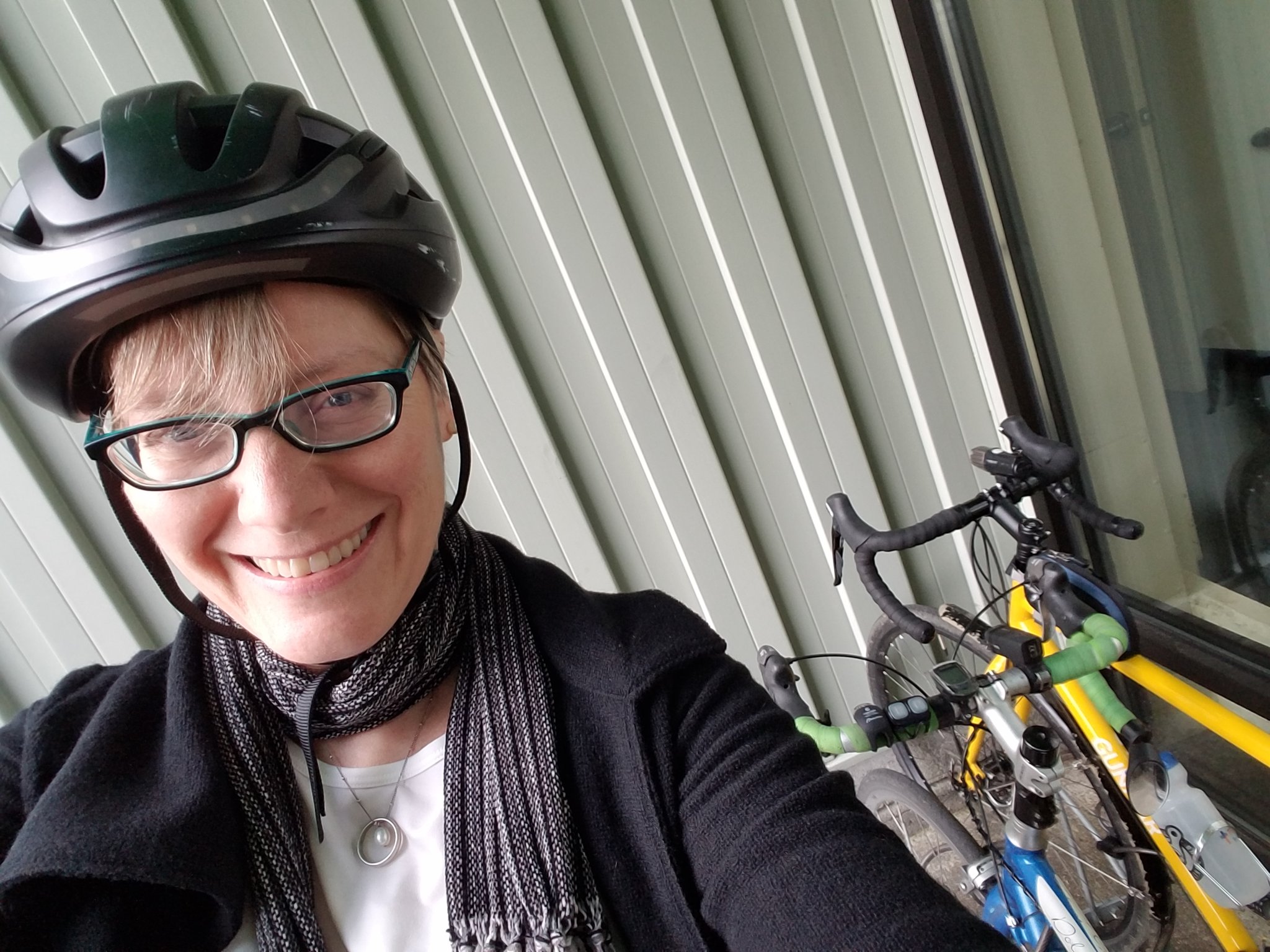 Errands by Bike Are a Breeze (and Sometimes Breezy): Errandonnee 2018