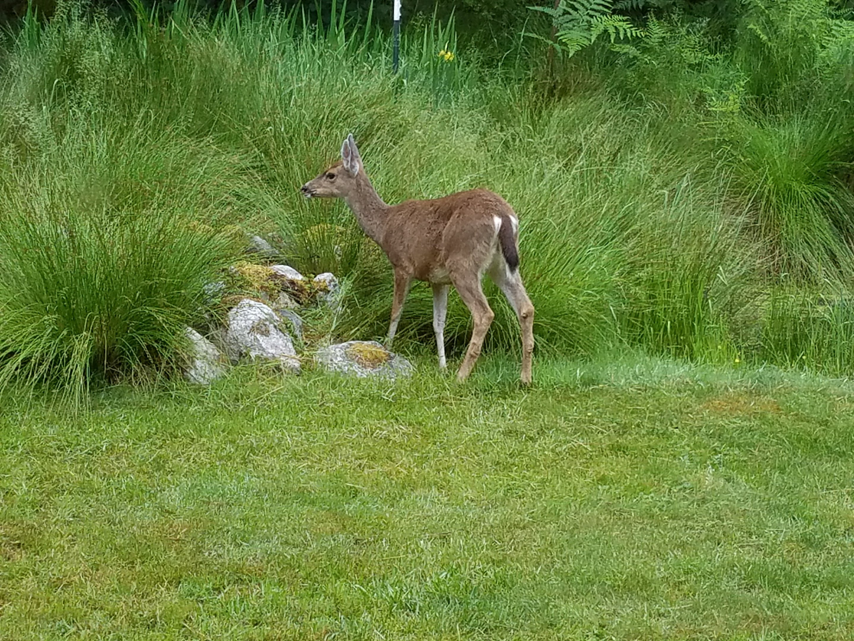 Day Eleven: Lopez Island, a Gentle Retreat