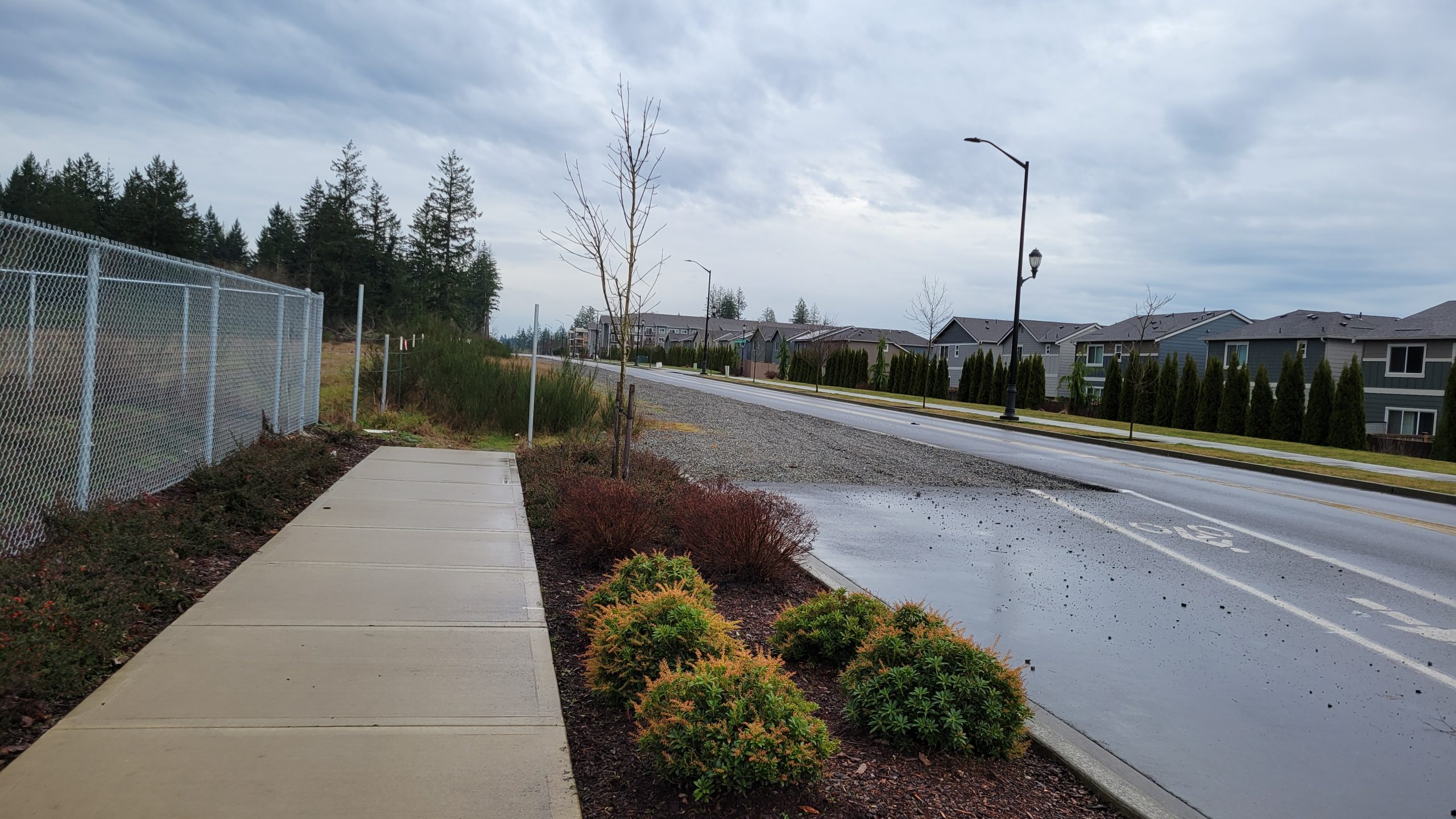 No Thanks for No Sidewalks!